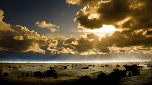 clouds, the sun, light, outlines, earth, bushes, sky, rays - wallpapers, picture