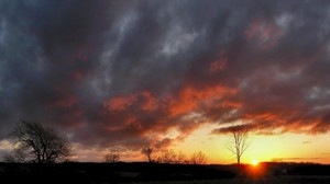 moln, tung, träd, solnedgång, konturer, himmel