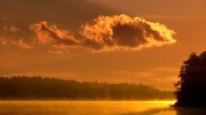 云，早晨，黎明，湖泊，树木，雾