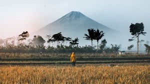 loneliness, solitude, field, mountain, palm trees, Indonesia