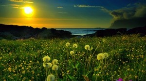 dandelions, evening, light, grass, clouds, mountains, sea, sky, glow