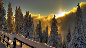 staket, sol, bländning, snö, skog, berg, moln, glimtar