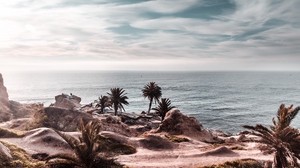 ocean, coast, palm trees, cliff, rocky, horizon