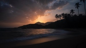 hav, palmer, solnedgång, strand, natt, tropiker - wallpapers, picture