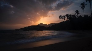 ocean, palm trees, sunset, shore, night, tropics