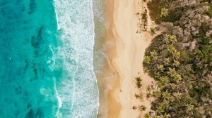 ocean, coast, palm trees, sand, surf, foam - wallpapers, picture