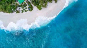 ocean, top view, palm trees, tropics, maldives