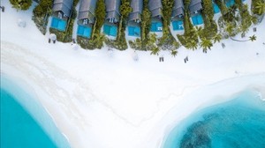 ocean, aerial view, coast, maldives, sand, beach, paradise - wallpapers, picture