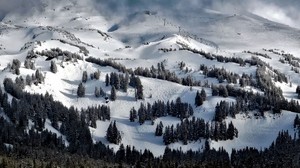 oregon, usa, trees, mountains, snow