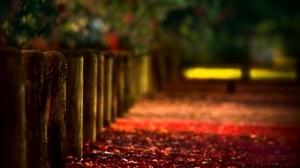 autumn, logs, stakes, fencing - wallpapers, picture