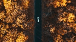 road, top view, autumn, trees, car, forest, below