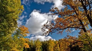 autumn, sky, trees, landscape