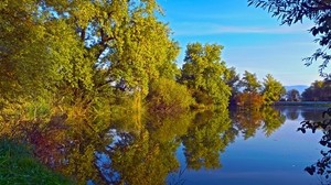 秋、湖、木、風景