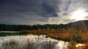 autumn, lake, forest, nature - wallpapers, picture