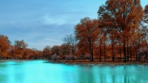 秋、公園、木、青い水