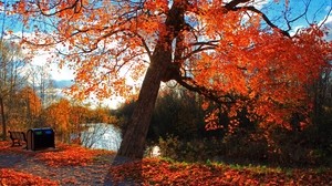 autunno, parco, fiume, panchina, paesaggio