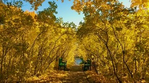 秋、公園、ベンチ、葉、風景