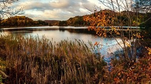 autumn, the pond, swamp, grass, dry, trees - wallpapers, picture