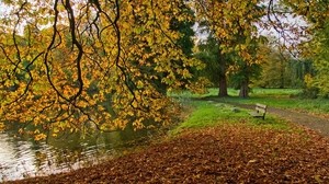 autunno, stagno, panchina, natura