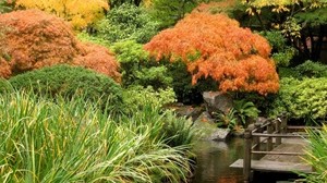 autumn, the pond, the bridge, trees