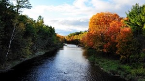 autunno, fiume, alberi, natura