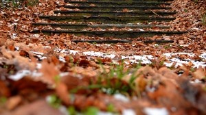 otoño, pasos, follaje, nieve