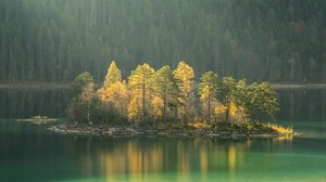 island, lake, trees, fog - wallpapers, picture