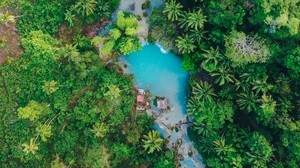 isla, palmeras, vista superior, trópicos, sikikhor, filipinas