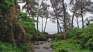 isla, río, mar, trópicos, nublado, vegetación