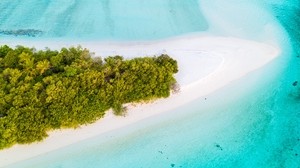 isola, veduta aerea, oceano, tropici, palme, spiaggia