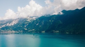 saari, vesi, vuoret, grindelwald, sveitsi