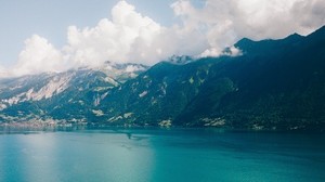 island, water, mountains, grindelwald, switzerland