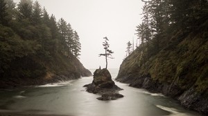 岛屿，海湾，树木，海岸