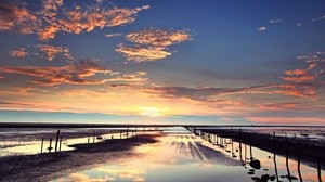 low tide, stakes, evening, sand, puddles, wet, sky, clouds, sunset, pink - wallpapers, picture