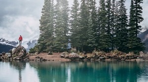 lago, orilla, árboles, piedras, silueta, montañas