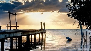 lake, heron, pier, evening
