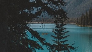 lake, trees, mountains, boat, nature