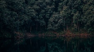 lake, trees, forest, reflection, begnas, lehnat, nepal