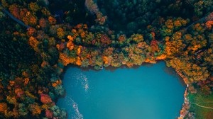 湖，树木，顶视图，秋天，匈牙利
