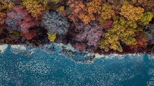 湖泊，树木，顶视图，秋天，秋天的颜色