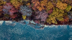 lago, alberi, vista dall’alto, autunno, colori autunnali