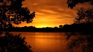 lake, tree, sunset, branches, horizon, sky, landscape