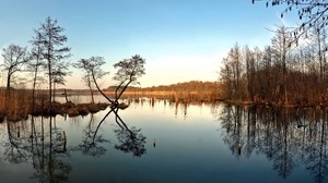 sjö, träd, höst, reflektion, himmel, blå