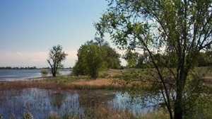 järvi, puut, luonto - wallpapers, picture