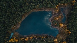 lake, trees, top view - wallpapers, picture