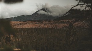 lake, mountain, fog, branches, top view, clouds