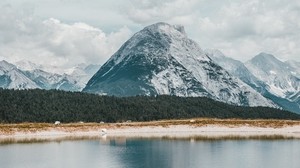 lake, mountains, shore, forest, landscape - wallpapers, picture