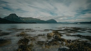 lake, mountains, shore, stones, seaweed - wallpapers, picture