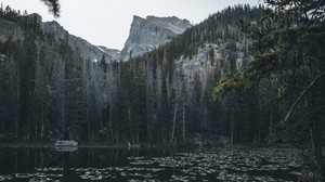 湖泊，山脉，树木，水，睡莲 - wallpapers, picture