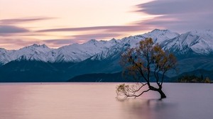 lake, mountains, tree, serenity, calm